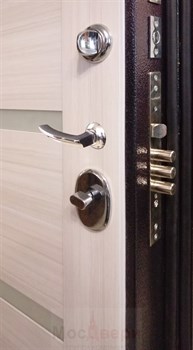 Входная дверь Alstad Бархат / Дуб Неаполь - фото 38301