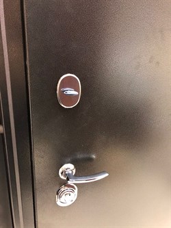 Входная дверь Linz Антик серебристый / Ива светлая - фото 40700