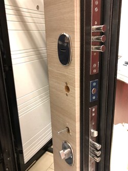 Входная дверь Linz Антик серебристый / Ива светлая - фото 40702