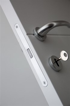 Межкомнатная дверь V-Tong Laccato Bianco Vetro 6 mm - фото 43105 Межкомнатная дверь V-Tong Laccato Bianco Vetro 6 mm - фото 43105