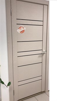 Межкомнатная дверь Profil 2.69RST Стоун Зеркало Бронза - фото 51224