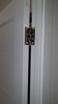 Межкомнатная дверь Profil 110DU Аляска Зеркало - фото 56002