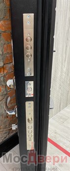 Входная дверь Dublin Дуб Нуар / Бьянко - фото 56659