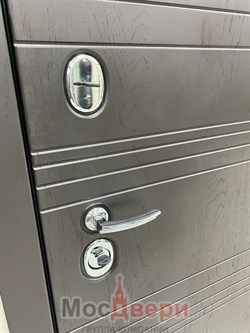 Входная дверь Dublin Дуб Нуар / Белая Эмаль - фото 56667