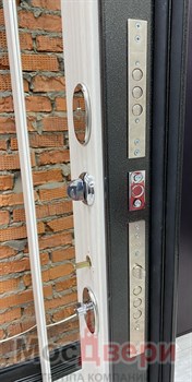 Входная дверь Alvesta Черный бархат / Дуб Неаполь Зеркало - фото 56767