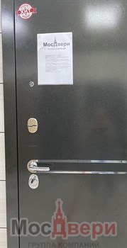 Входная дверь Alvesta Черный бархат / Дуб Неаполь Зеркало - фото 56771