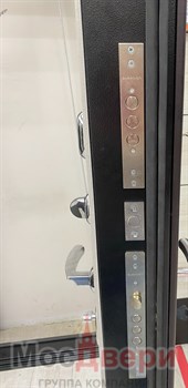 Входная дверь Denholm Дуб Нуар / Капучино Зеркало - фото 56773