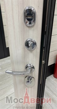 Входная дверь Denholm Дуб Нуар / Капучино Зеркало - фото 56775