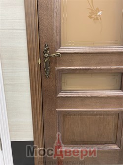 Межкомнатная дверь Пенелопа Американский дуб со стеклом - фото 57068