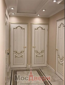 Двустворчатая дверь Амаззони Аворио Оро Дисегно - фото 57185