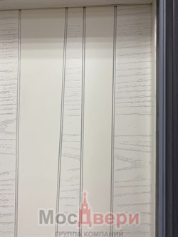 Межкомнатная дверь Аргос Дуб Полярный глухая - фото 57340