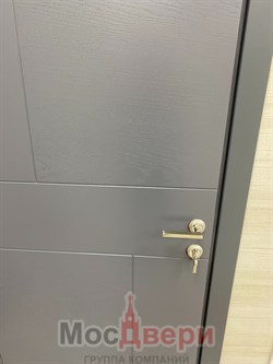 Межкомнатная дверь Аргос Дуб Полярный глухая - фото 57341