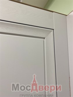 Межкомнатная дверь Profil 2.73SNT Сильвер матовый - фото 59455