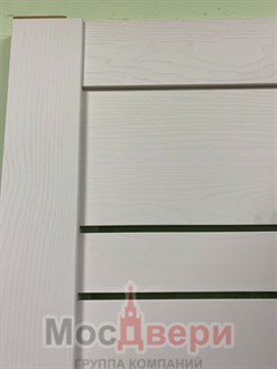 Межкомнатная дверь Profil 2.80MSX Монблан Сатинат Светлый - фото 59466