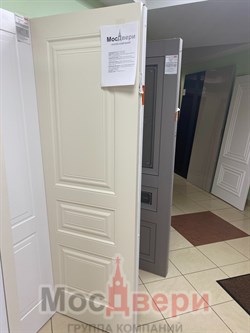 Межкомнатная дверь Renata Bianco глухая - фото 59536