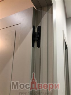 Межкомнатная дверь Veronica Grigio Chiaro Matelux - фото 61393 Межкомнатная дверь Veronica Grigio Chiaro Matelux - фото 61393