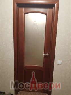 Раздвижная дверь Саманта Лесной орех Сатинат Бронза - фото 61762