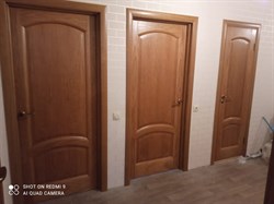 Межкомнатная дверь Саманта Лесной орех - фото 61771