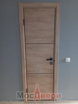 Межкомнатная дверь Profil 2DE Alum Каштан Black Edition - фото 61932