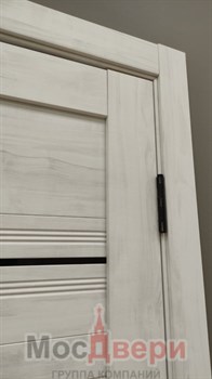 Межкомнатная дверь Profil 2.80GST Пекан Светлый LACOBEL Черный - фото 62607