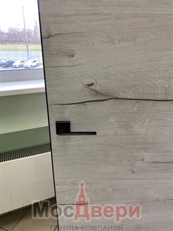 Межкомнатная дверь Profil 29SE Alum Дуб Полярный LACOBEL Черный Black Edition - фото 77024