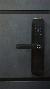 Замок Smart Lock биометрический - фото 77956