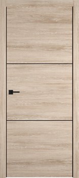 Межкомнатная дверь Profil 2DE Alum Дуб SKY Грей Black Edition - фото 77991