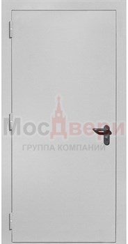 Противопожарная дверь металлическая однопольная EI 60 FPS/M11 RAL 7035 Light Grey - фото 80944